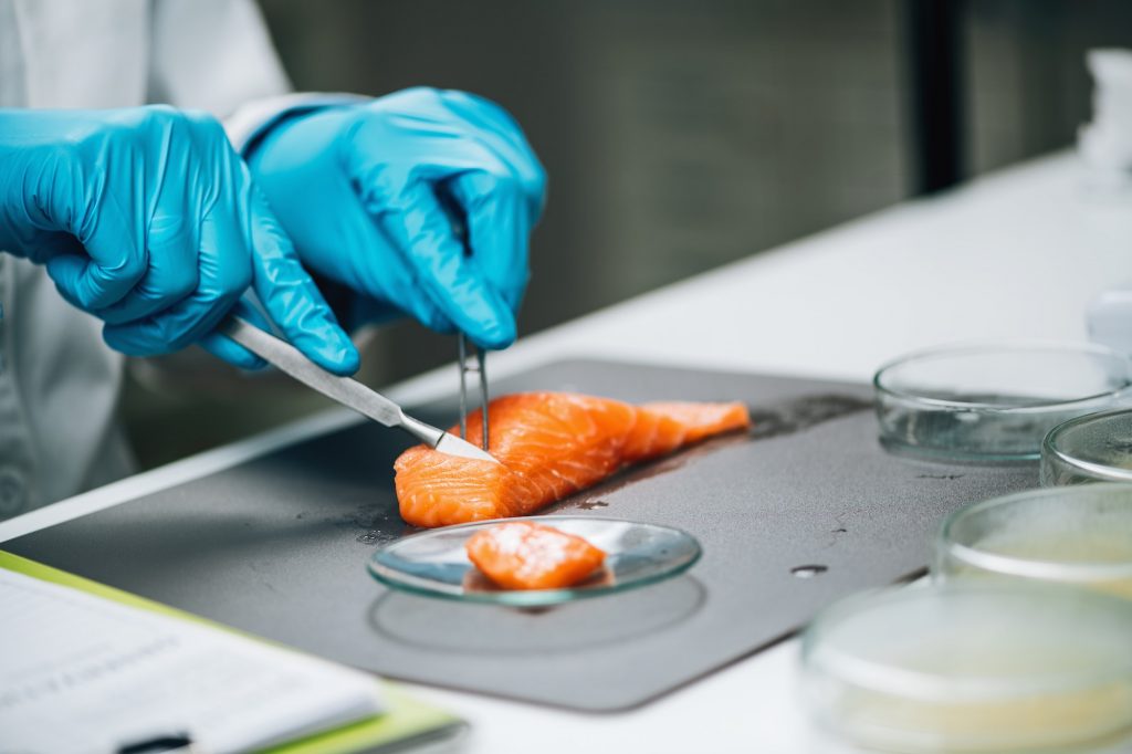 Food Safety and Quality Control - Testing Salmon Fish